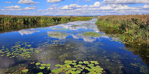 Abflusskanal des Federsees
