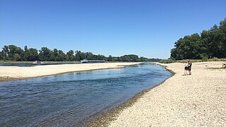 LIFE-Projekt Rheinauen Rastatt