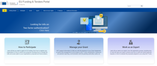 Screenshot des Funding & Tenders-Portals (IT-How to)