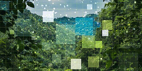 Wald und Icons