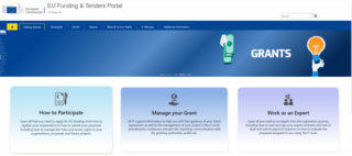 Abbildung: Screenshot Funding & Tenders-Portal IT-How to