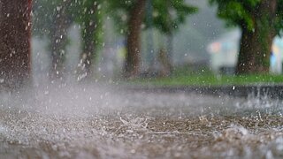 Starkregen auf einer Straße vor Bäumen