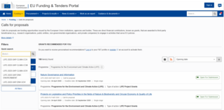 Screenshot Funding & Tenders-Portal 