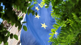 EU-Flagge hinter Baum