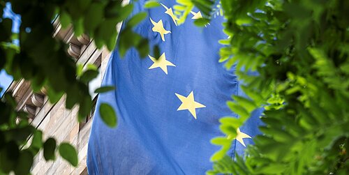EU-Flagge hinter Baum